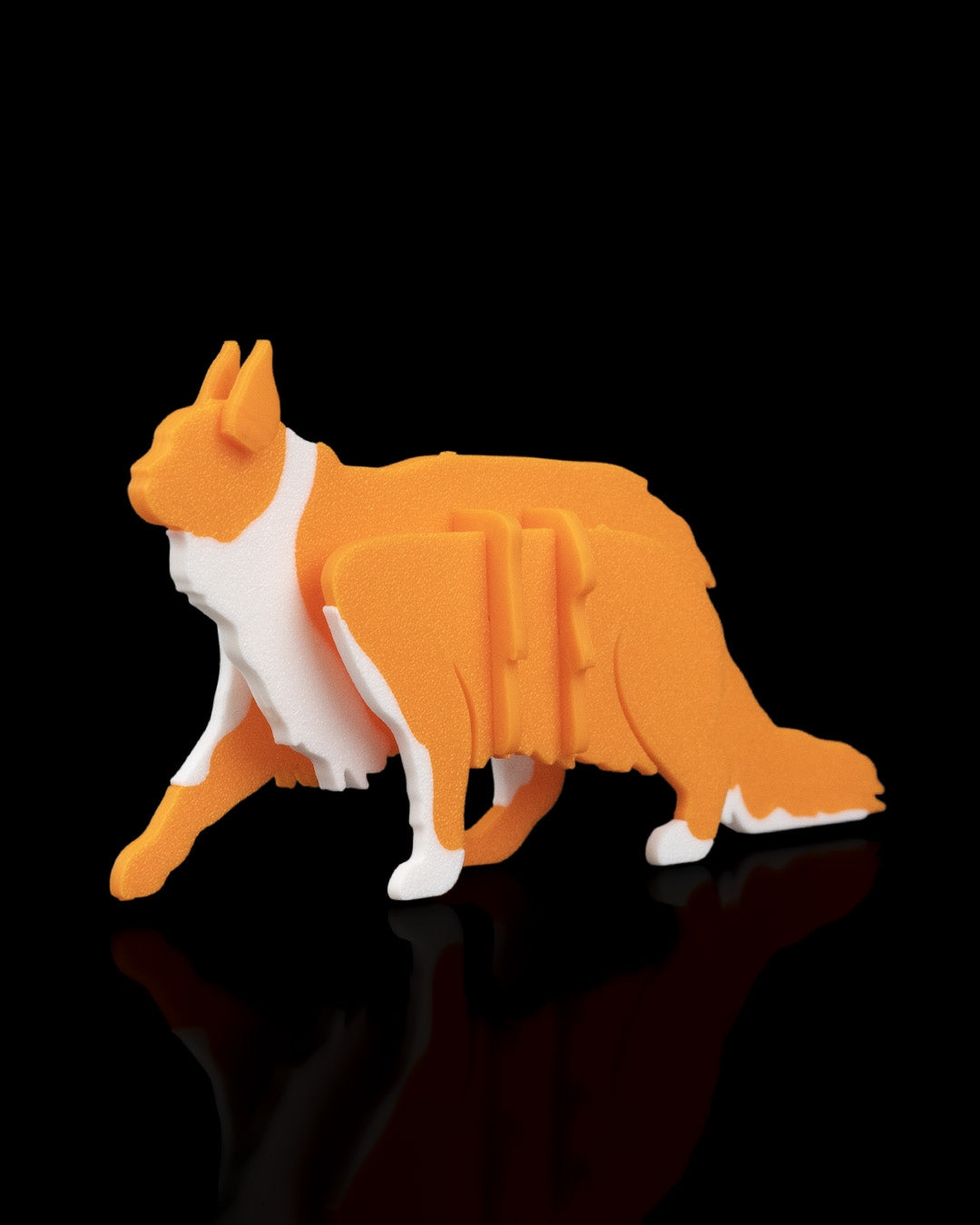 Maine Coon Card Kit