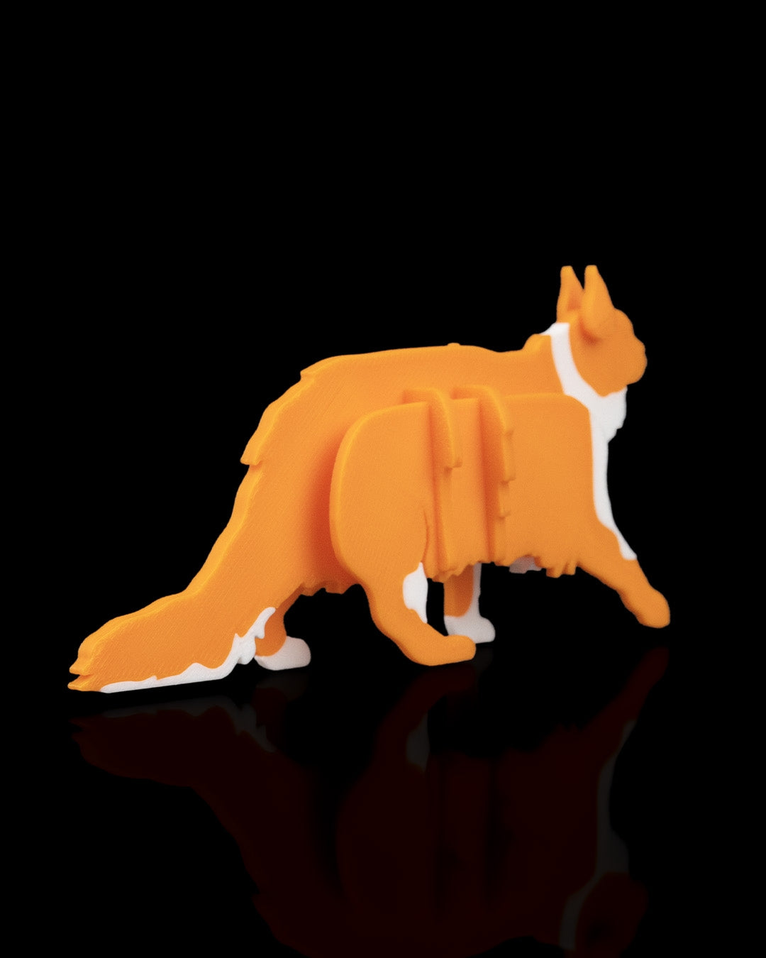 Maine Coon Card Kit