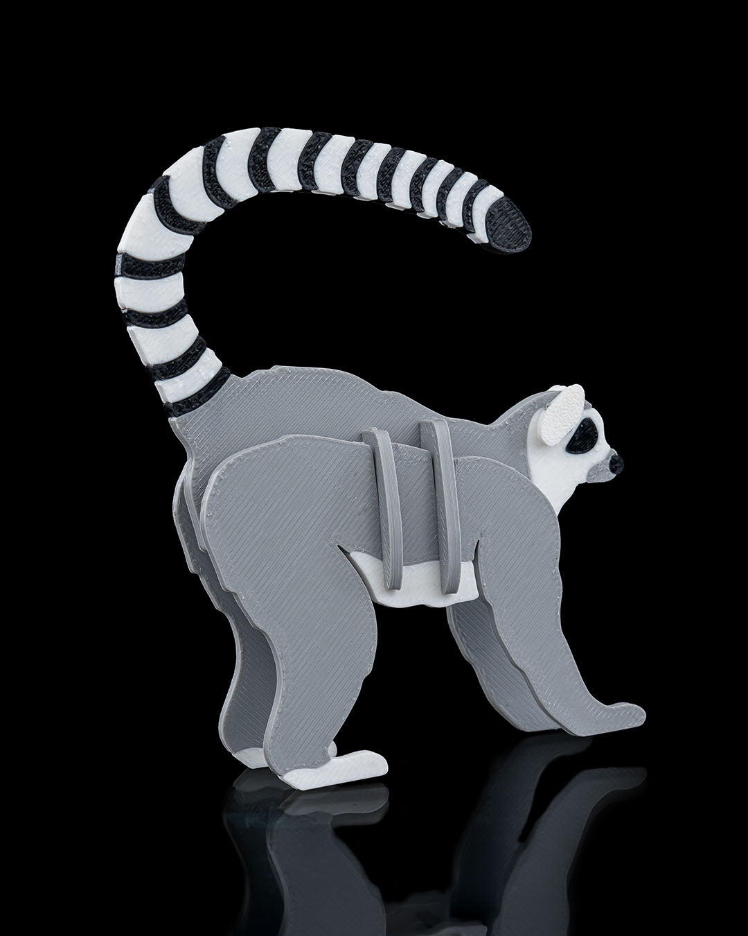 Lemur Card Kit
