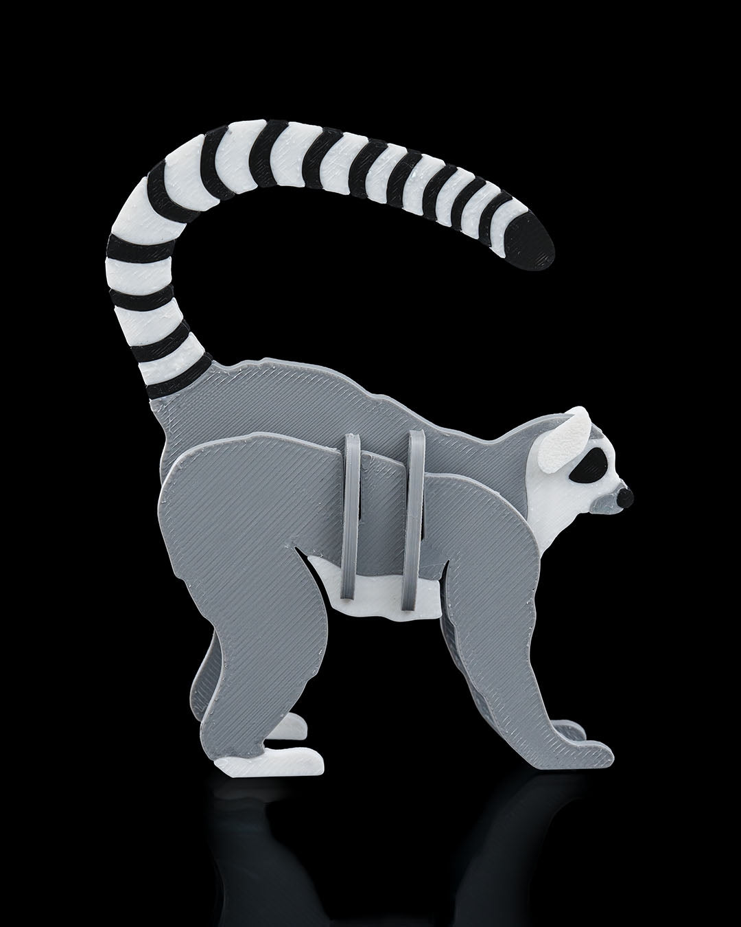 Lemur Card Kit