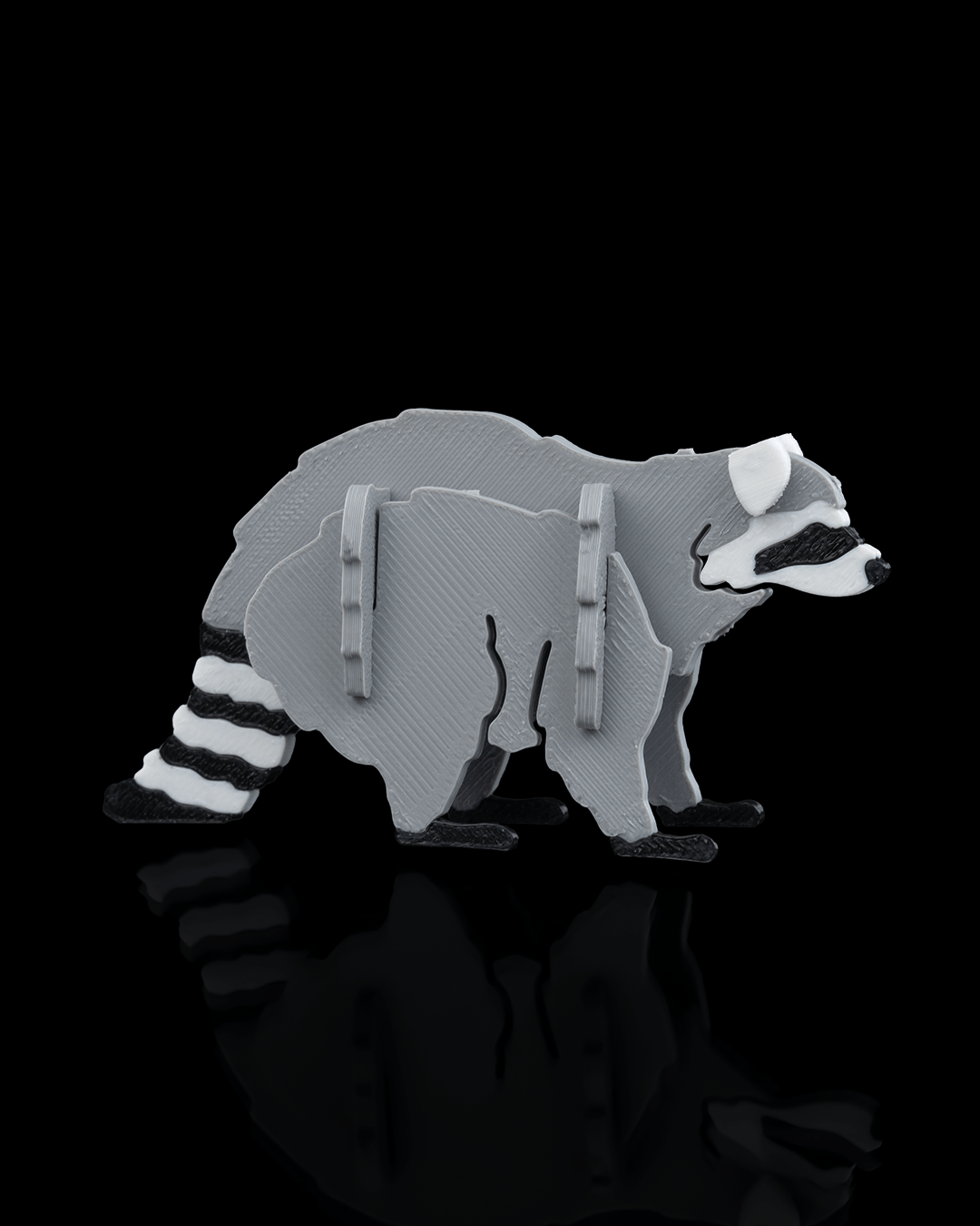 Racoon Card Kit