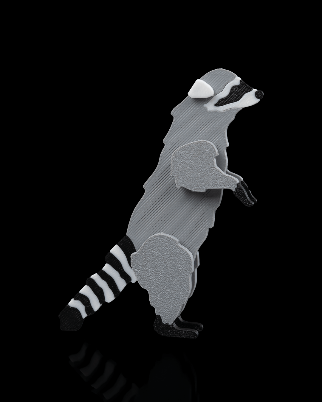 Racoon Card Kit