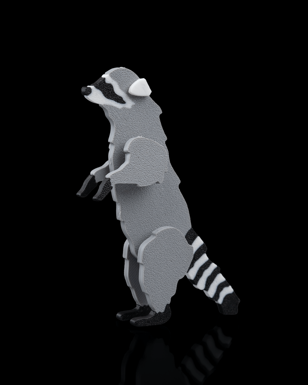 Racoon Card Kit