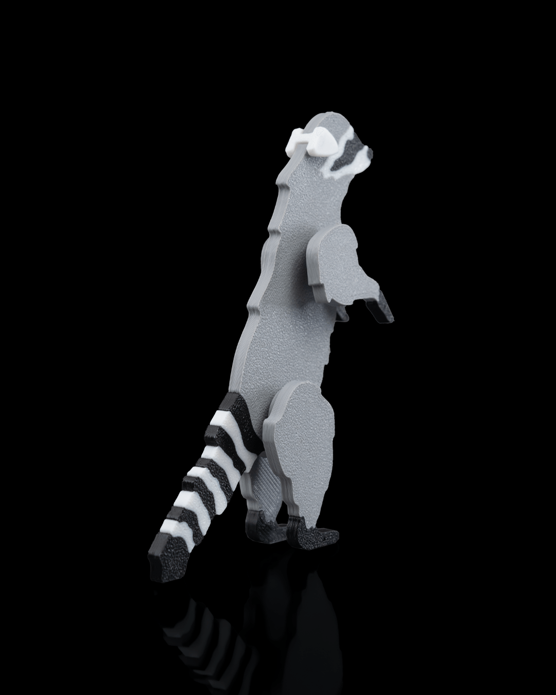Racoon Card Kit