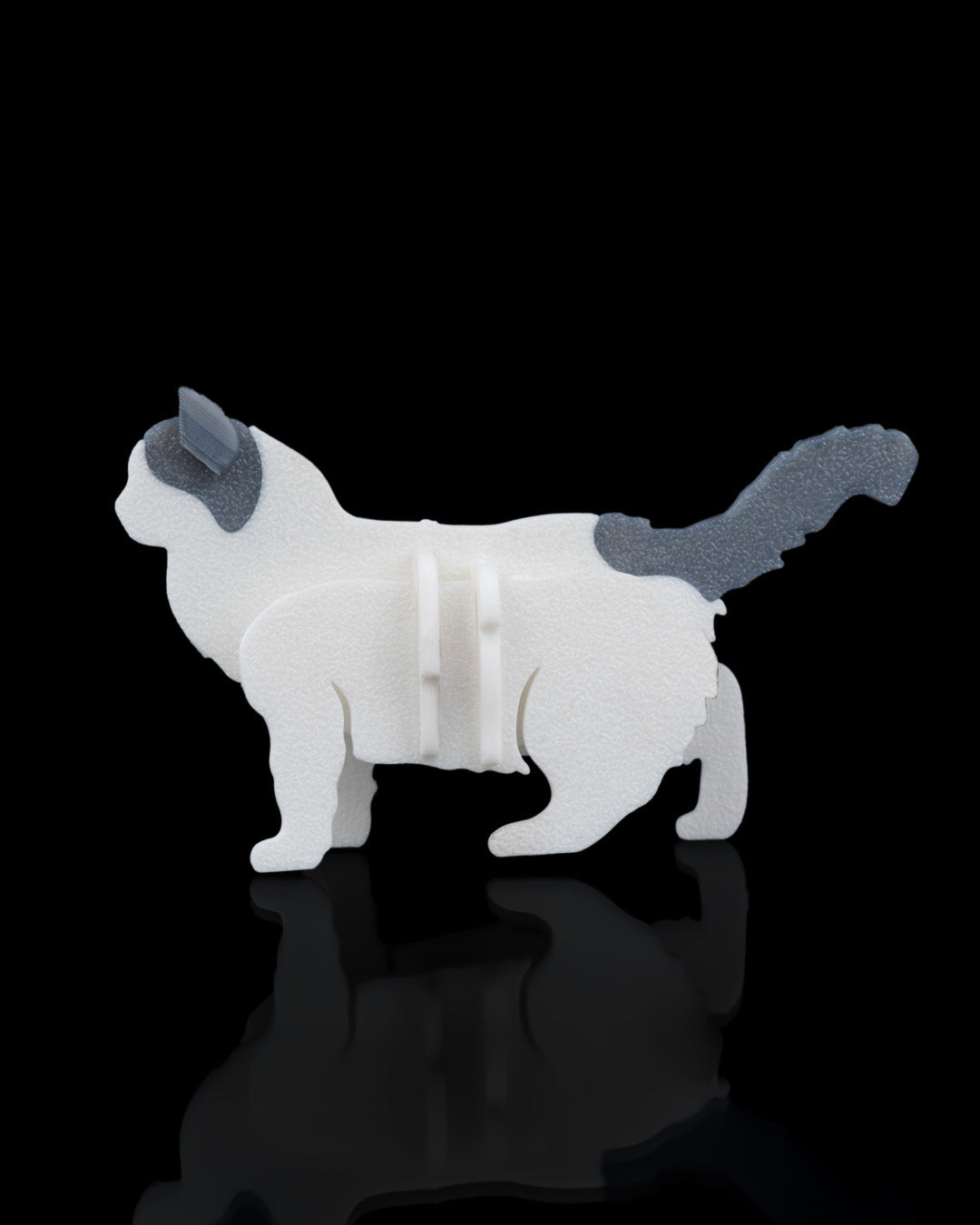 Ragdoll Cat Card Kit
