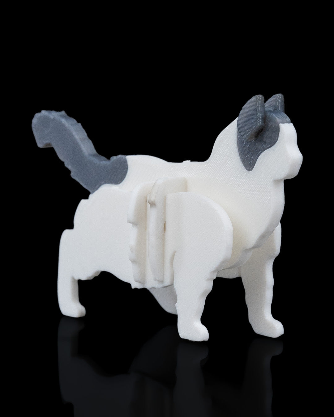 Ragdoll Cat Card Kit